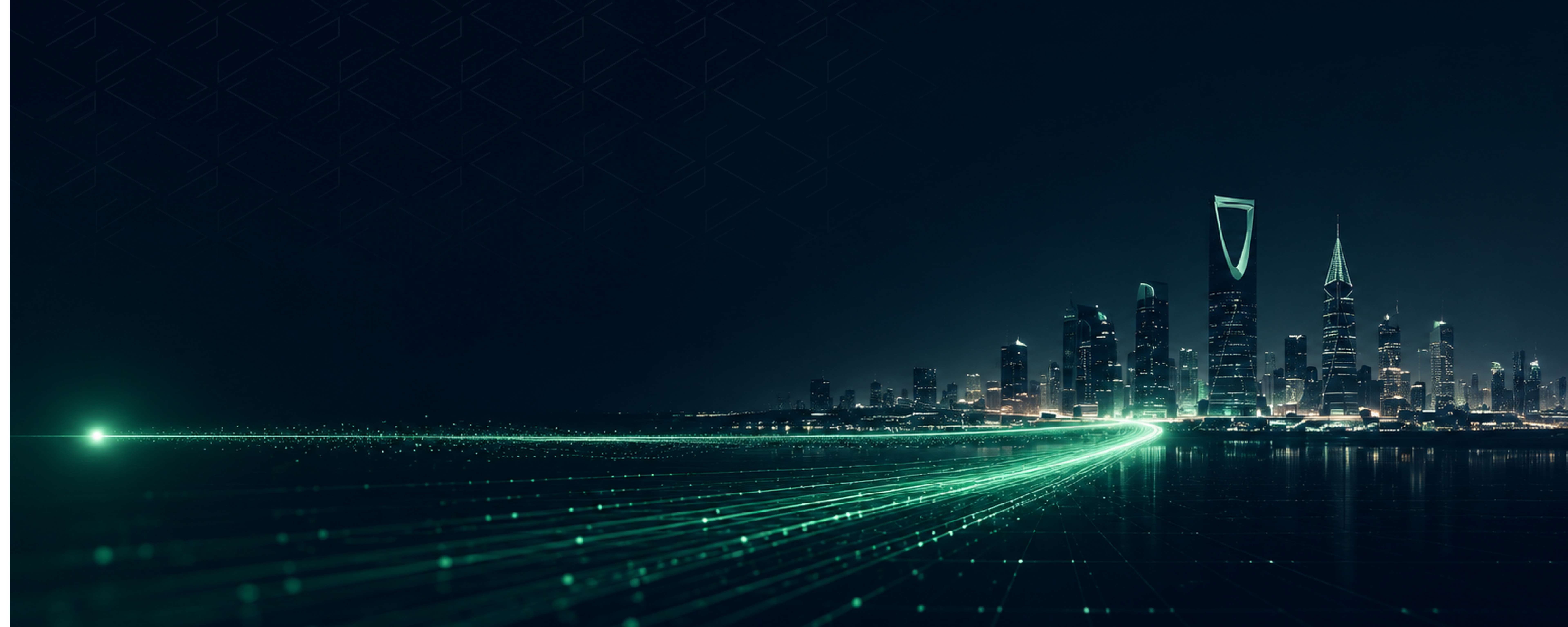 A digitally enabled state using its government resources